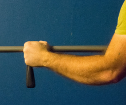 what calisthenics work biceps 1